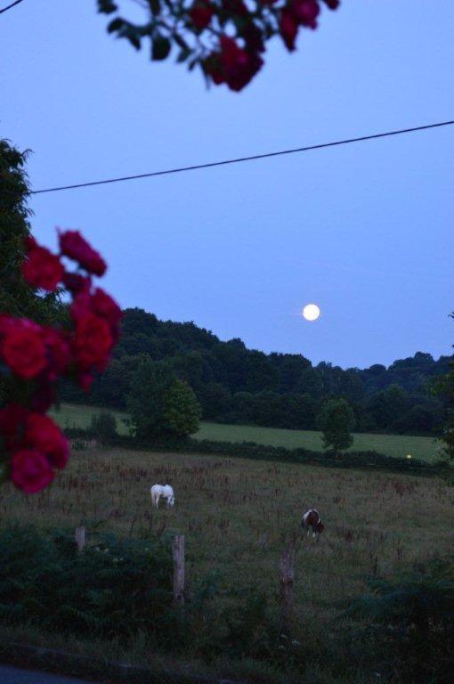 Beth Soureilh Adults Only Bed and Breakfast Coarraze Buitenkant foto