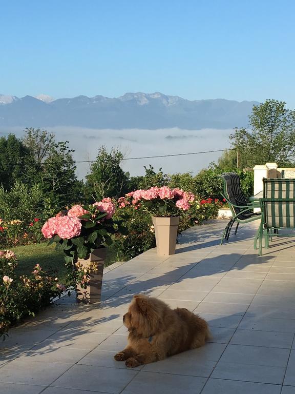 Beth Soureilh Adults Only Bed and Breakfast Coarraze Buitenkant foto